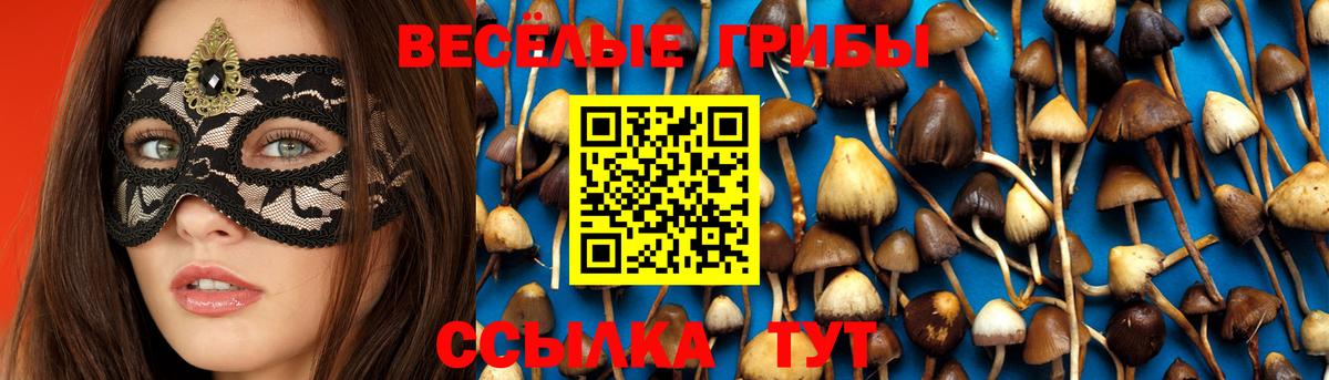 Псилоцибиновые грибы мухоморы Домодедово