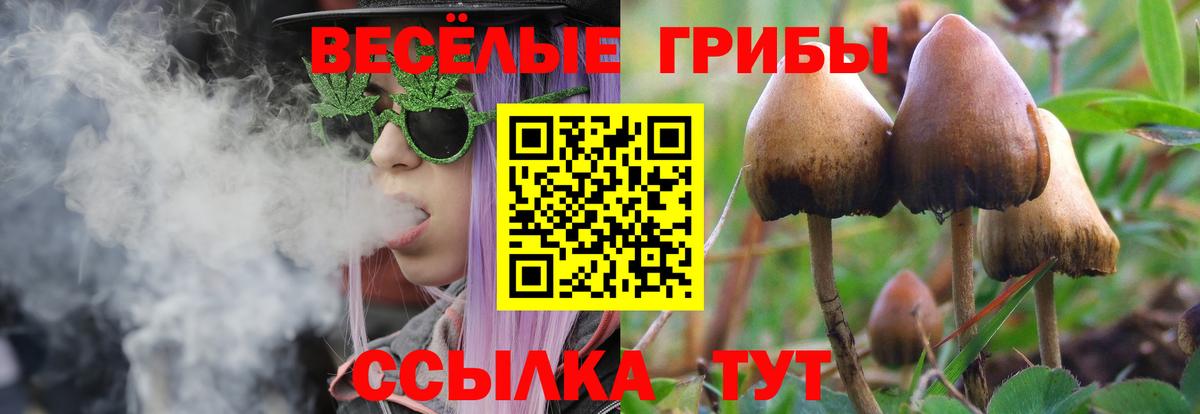 Домодедово  Псилоцибиновые грибы мухоморы  Вход с VPN 
